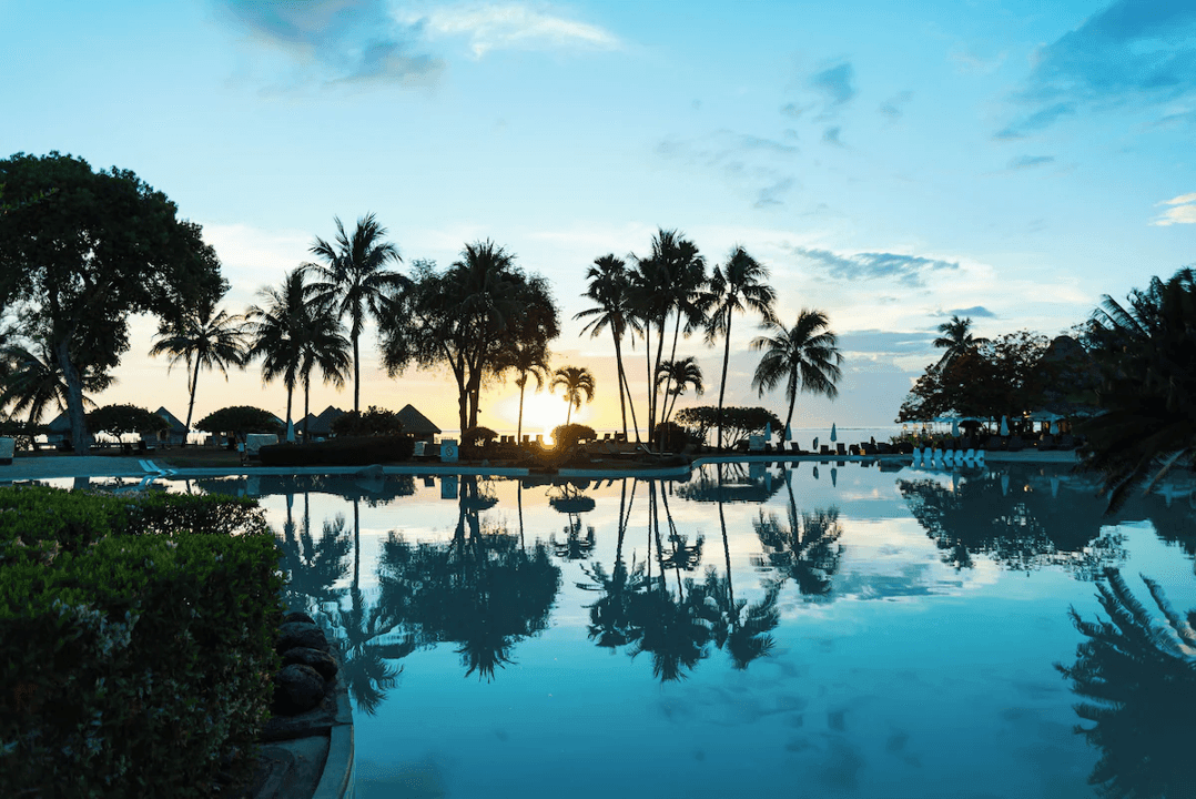 Garden & Pool